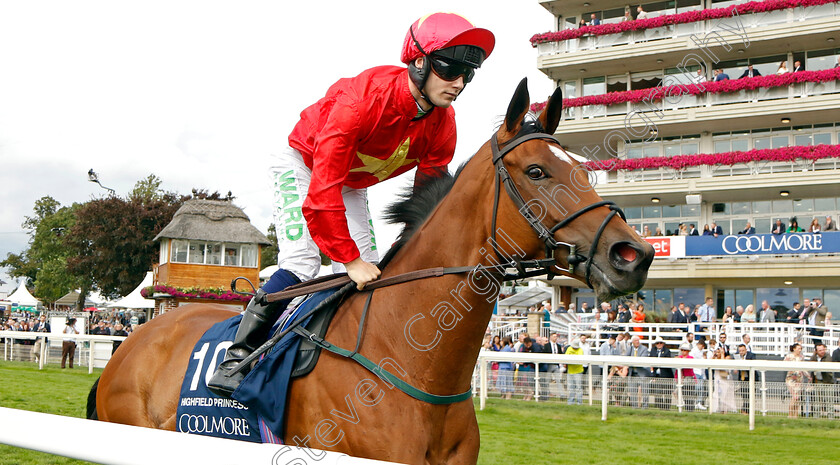 Highfield-Princess-0003 
 HIGHFIELD PRINCESS (Jason Hart)
York 25 Aug 2023 - Pic Steven Cargill / Racingfotos.com