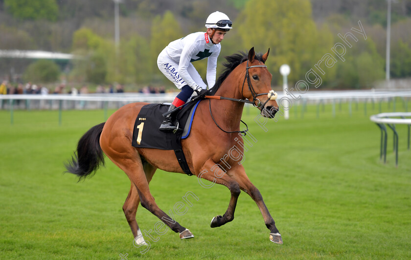 Diffident-Spirit-0001 
 DIFFIDENT SPIRIT (Connor Planas)
Nottingham 22 Apr 2023 - Pic Steven Cargill / Becky Bailey / Racingfotos.com