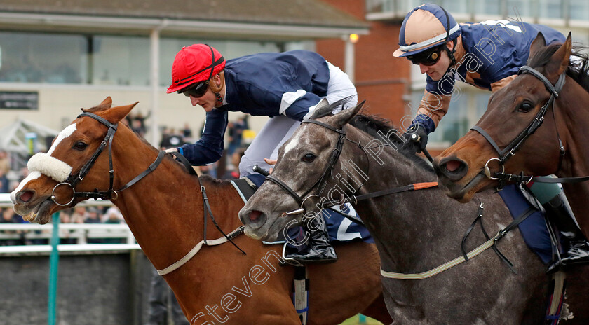 Crystal-Casque-0004 
 CRYSTAL CASQUE (left, Jack Gilligan) beats DAYZEE (centre) in The BetMGM Irish EBF Fillies Handicap
Lingfield 23 Dec 2023 - Pic Steven Cargill / Racingfotos.com