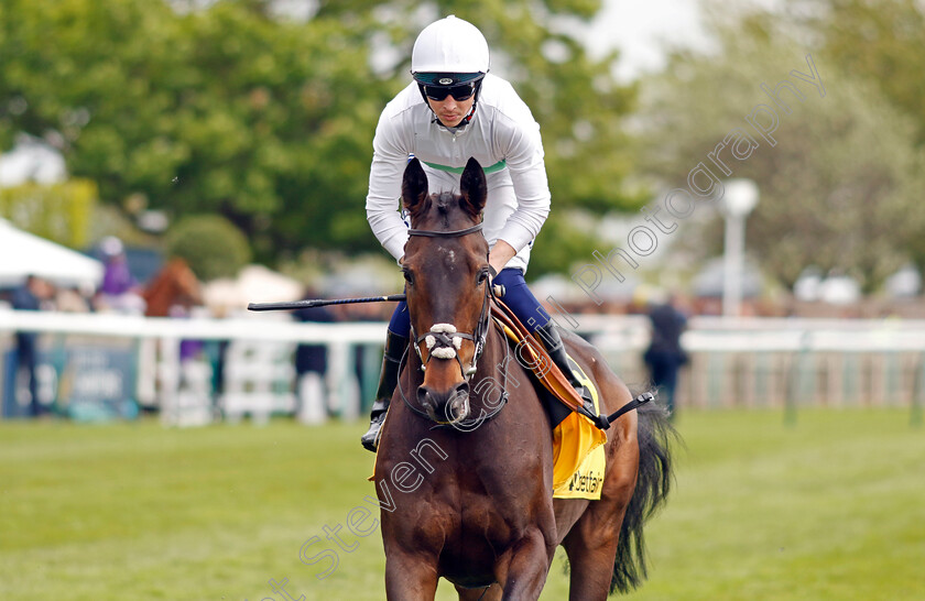 Valley-Forge 
 VALLEY FORGE (David Probert) 
Newmarket 1 May 2022 - Pic Steven Cargill / Racingfotos.com