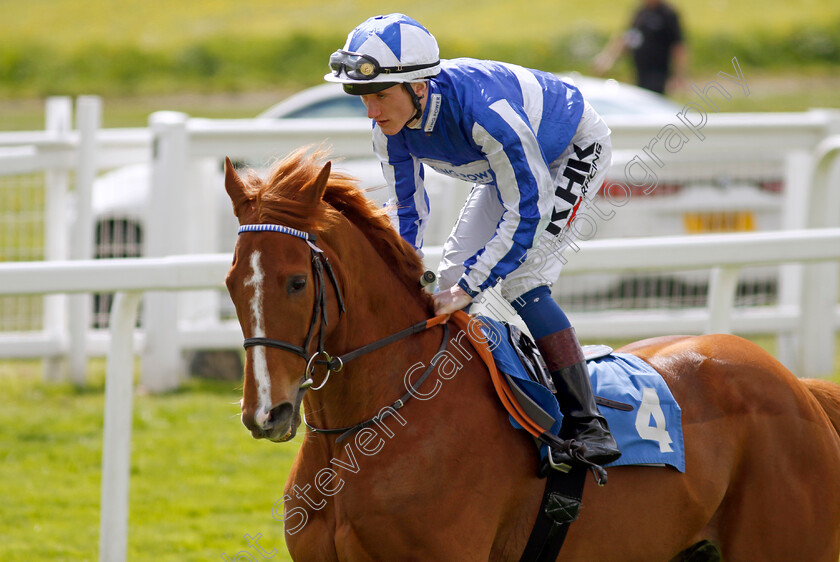 Fantastic-Fox-0001 
 FANTASTIC FOX (David Egan)
Epsom 25 Apr 2023 - Pic Steven Cargill / Racingfotos.com