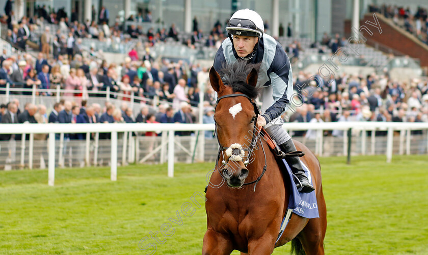 Passenger-0001 
 PASSENGER (Richard Kingscote)
York 18 May 2023 - Pic Steven Cargill / Racingfotos.com