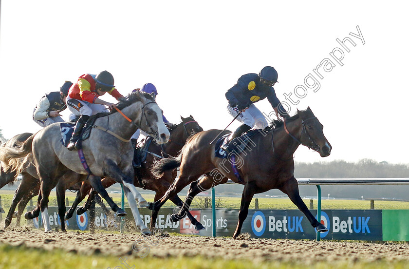 Harry-Brown-0005 
 HARRY BROWN (Hayley Turner) beats ROCKING ENDS (left) in The Talksport Powered By Fans Handicap
Lingfield 21 Jan 2023 - Pic Steven Cargill / Racingfotos.com