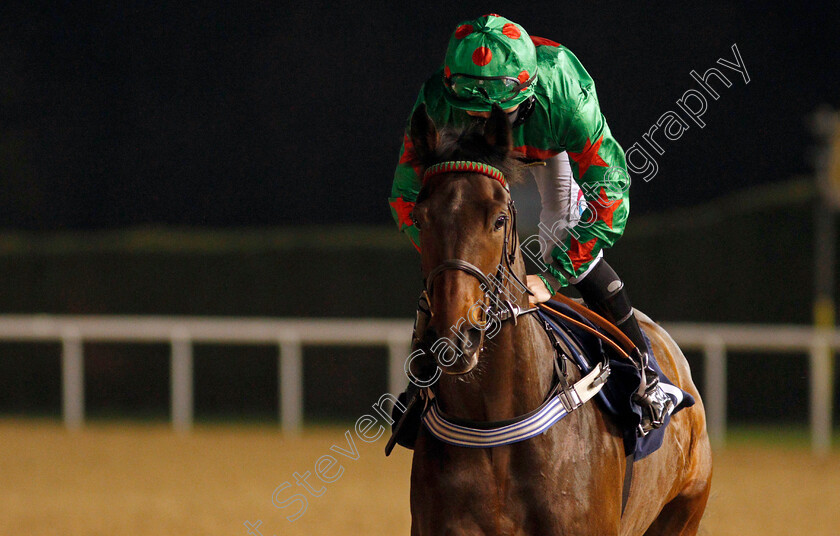 Mustang-Kodi-0001 
 MUSTANG KODI (P J McDonald)
Wolverhampton 24 Nov 2020 - Pic Steven Cargill / Racingfotos.com