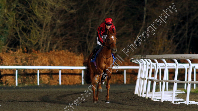 Max-Vega-0001 
 MAX VEGA (Laura Pearson)
Kempton 13 Dec 2023 - Pic Steven Cargill / Racingfotos.com