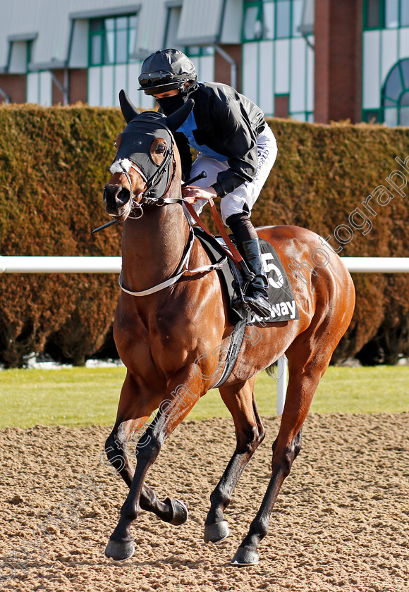 Streamline-0001 
 STREAMLINE (Ryan Moore) winner of The Betway Handicap
Wolverhampton 13 Mar 2021 - Pic Steven Cargill / Racingfotos.com