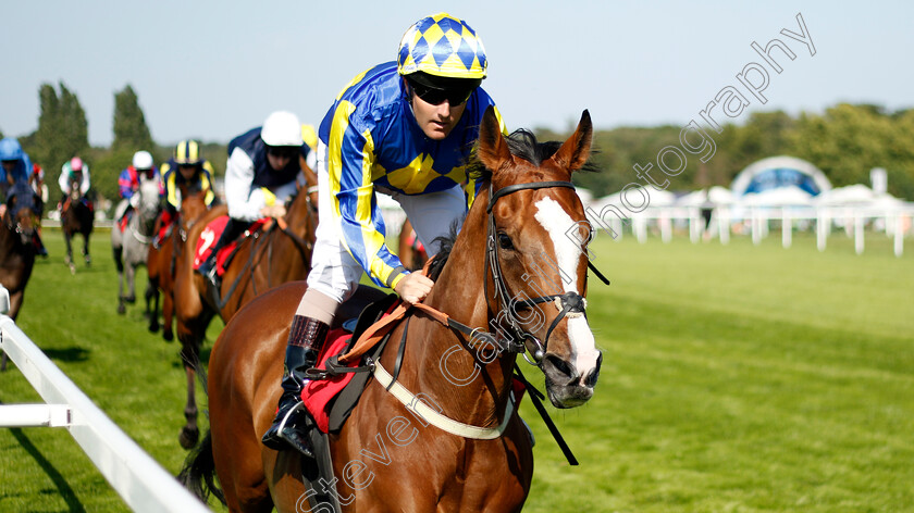 He s-A-Latchico-0003 
 HE'S A LATCHICO (Tom Queally) wins The Davies Group Handicap
Sandown 7 Jul 2023 - Pic Steven Cargill / Racingfotos.com