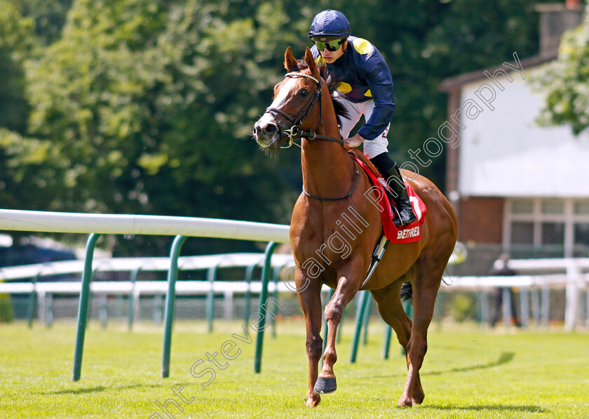 Pink-Crystal-0001 
 PINK CRYSTAL (Tom Marquand)
Haydock 8 Jun 2024 - Pic Steven Cargill / Racingfotos.com