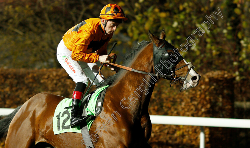 Coastguard-Watch-0001 
 COASTGUARD WATCH (Shane Kelly)
Kempton 21 Nov 2018 - Pic Steven Cargill / Racingfotos.com