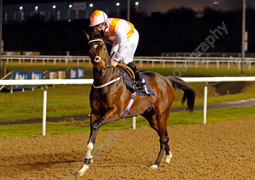 A-War-Eagle-0001 
 A WAR EAGLE (Aidan Keeley)
Wolverhampton 20 Dec 2024 - Pic Steven Cargill / Racingfotos.com