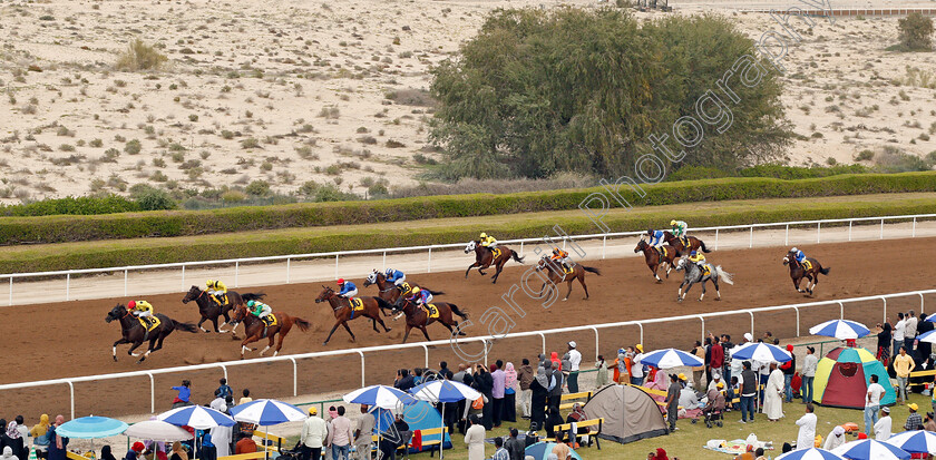 Ode-To-Autumn-0002 
 ODE TO AUTUMN (Pat Cosgrave) wins The Shadwell Handicap
Jebel Ali 24 Jan 2020 - Pic Steven Cargill / Racingfotos.com