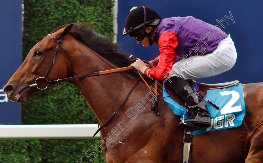 Sextant-0009 
 SEXTANT (Ryan Moore) wins The John Guest Racing Handicap
Ascot 26 Jul 2019 - Pic Steven Cargill / Racingfotos.com