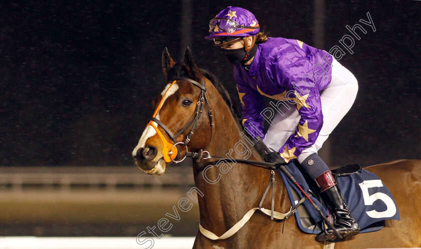 Nelson-River-0001 
 NELSON RIVER (Elisha Whittington) winner of The Betway Apprentice Handicap
Wolverhampton 7 Jan 2021 - Pic Steven Cargill / Racingfotos.com