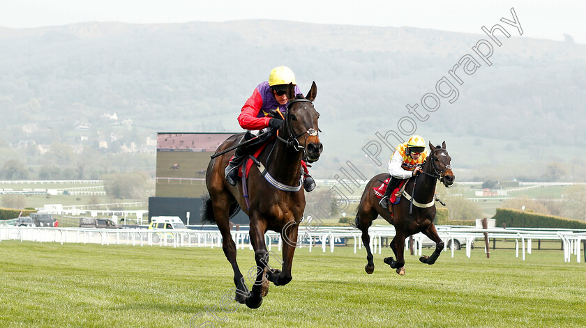 Dashel-Drasher-0007 
 DASHEL DRASHER (Matt Griffiths) wins The Citipost Novices Hurdle
Cheltenham 17 Apr 2019 - Pic Steven Cargill / Racingfotos.com