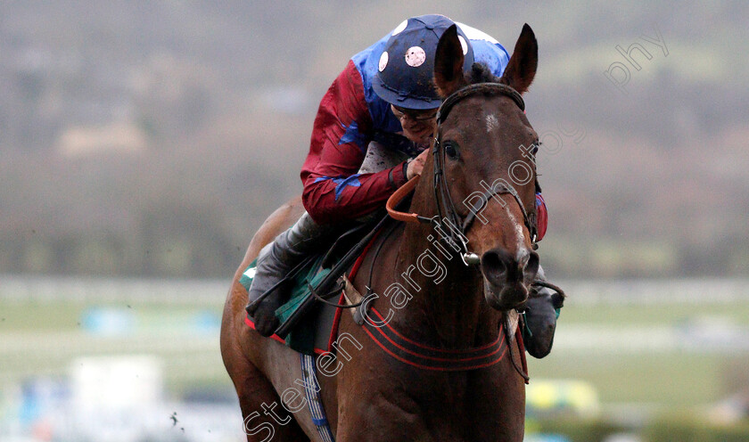 Paisley-Park-0007 
 PAISLEY PARK (Aidan Coleman) wins The galliardhomes.com Cleeve Hurdle
Cheltenham 26 Jan 2019 - Pic Steven Cargill / Racingfotos.com