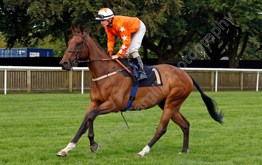 Desert-Glory-0001 
 DESERT GLORY (Kieran O'Neill)
Newmarket 28 Jul 2023 - Pic Steven Cargill / Racingfotos.com