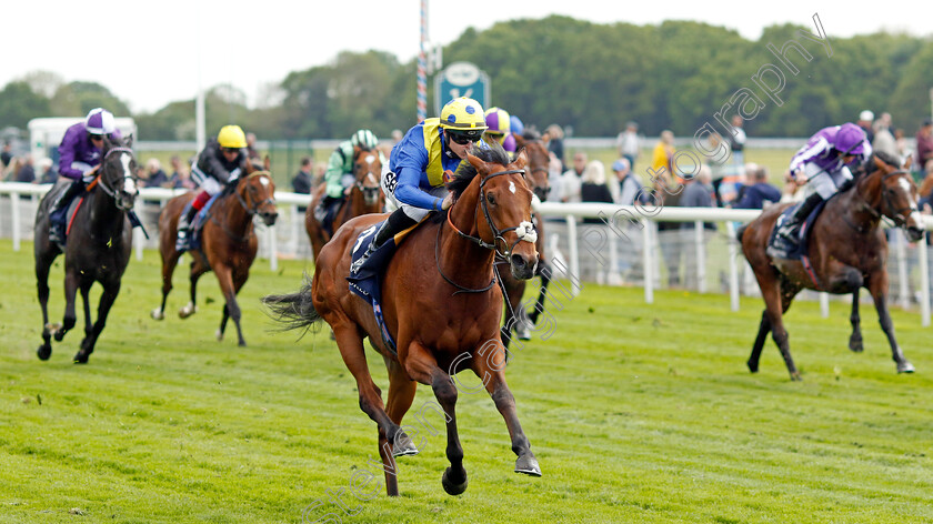 Desert-Crown-0004 
 DESERT CROWN (Richard Kingscote) wins The Al Basti Equiworld Dubai Dante Stakes
York 12 May 2022 - Pic Steven Cargill / Racingfotos.com