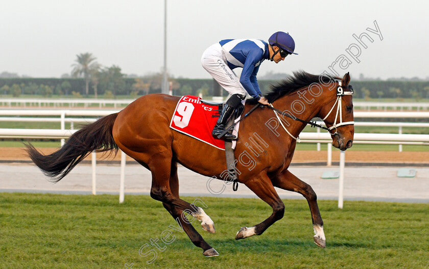 Whisky-Baron-0001 
 WHISKY BARON (Colm O'Donoghue) Meydan 10 Mar 2018 - Pic Steven Cargill / Racingfotos.com