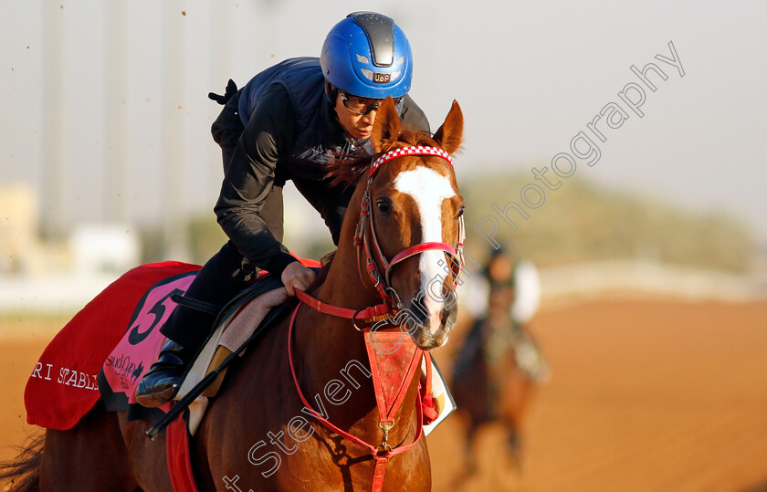 Jasper-Krone-0001 
 JASPER KRONE training for The Riyadh Dirt Sprint
King Abdulaziz Racecourse, Saudi Arabia 21 Feb 2024 - Pic Steven Cargill / Racingfotos.com