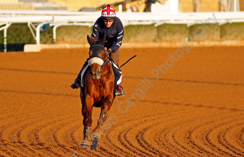 Giavellotto-0001 
 GIAVELLOTTO training for The Red Sea Turf Handicap
King Abdulaziz Racecourse, Saudi Arabia 21 Feb 2024 - Pic Steven Cargill / Racingfotos.com