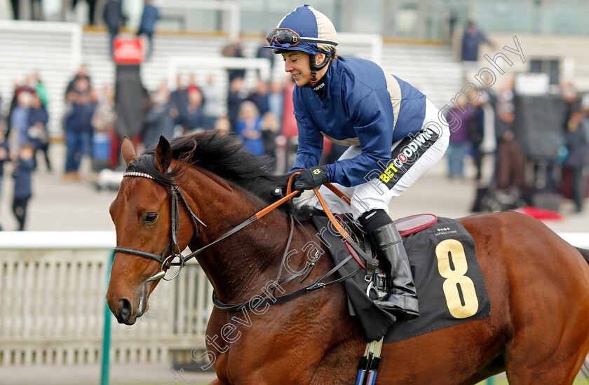 Jazzy-Angel-0001 
 JAZZY ANGEL (Hayley Turner)
Newmarket 25 Oct 2023 - Pic Steven Cargill / Racingfotos.com