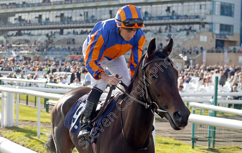 Whirl-0004 
 WHIRL (Ryan Moore) winner of The Coopers Marquees EBF Maiden Fillies Stakes
Doncaster 13 Sep 2024 - Pic Steven Cargill / Racingfotos.com