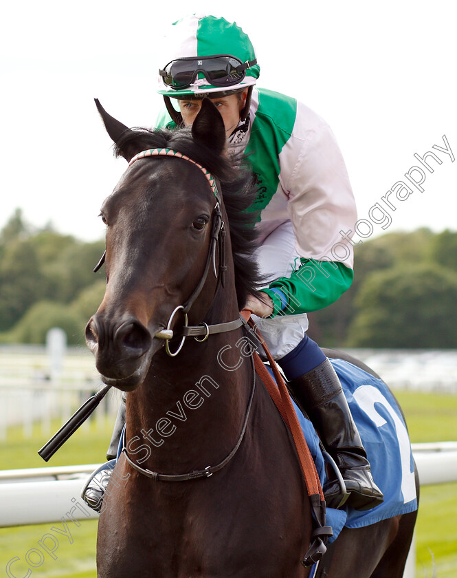 Burning-Lake-0001 
 BURNING LAKE (Jim Crowley)
York 17 May 2018 - Pic Steven Cargill / Racingfotos.com