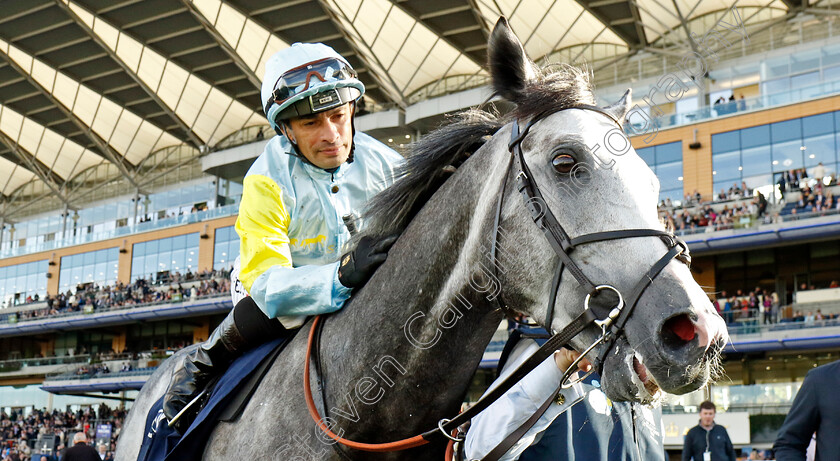 Charyn-0008 
 CHARYN (Silvestre de Sousa) winner of The Queen Elizabeth II Stakes
Ascot 19 Oct 2024 - Pic Steven Cargill / Racingfotos.com