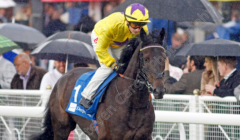 Amleto-0005 
 AMLETO (Tom Marquand) winner of The Deepbridge Syndicate Maiden Stakes
Chester 10 May 2023 - Pic Steven Cargill / Racingfotos.com