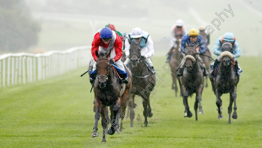 Formal-0006 
 FORMAL (Ryan Moore) wins The British EBF Fillies Novice Stakes
Leicester 10 Sep 2024 - Pic Steven Cargill / Racingfotos.com