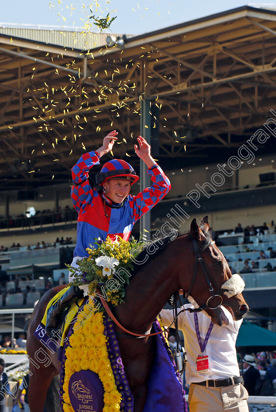 Big-Evs-0011 
 BIG EVS (Tom Marquand) winner of The Breeders' Cup Juvenile Turf Sprint
Santa Anita 3 Nov 2023 - Pic Steven Cargill / Racingfotos.com