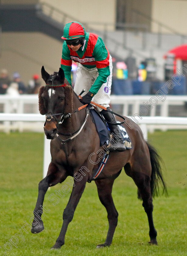 Stoner s-Choice-0001 
 STONER'S CHOICE (Kielan Woods)
Ascot 18 Jan 2025 - Pic Steven Cargill / Racingfotos.com