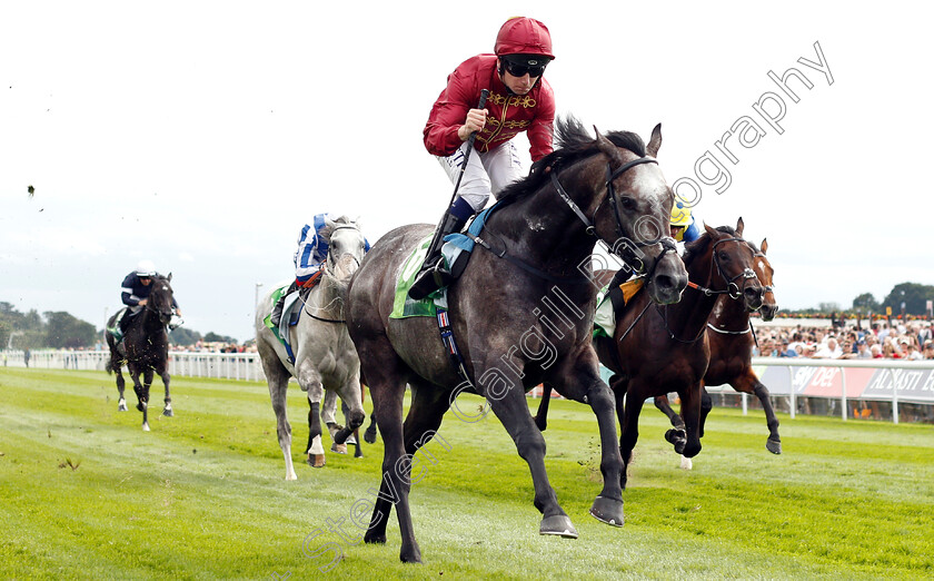 Roaring-Lion-0008 
 ROARING LION (Oisin Murphy) wins The Juddmonte International Stakes
York 22 Aug 2018 - Pic Steven Cargill / Racingfotos.com