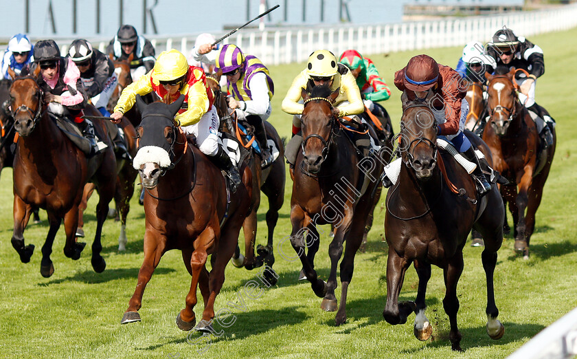 Celsius-0001 
 CELSIUS (left, P J McDonald) beats MERCENARY ROSE (right) in The Tatler Handicap
Goodwood 1 Aug 2019 - Pic Steven Cargill / Racingfotos.com