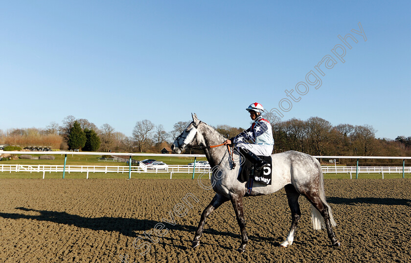 Master-The-World-0004 
 MASTER THE WORLD (Sean Levey)
Lingfield 23 Feb 2019 - Pic Steven Cargill / Racingfotos.com