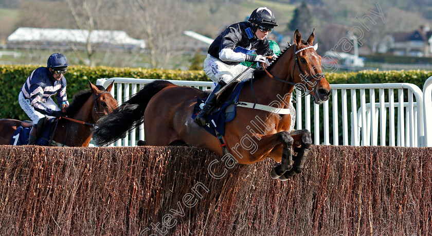 Bigmartre-0002 
 BIGMARTRE (Harry Bannister) Cheltenham 15 Mar 2018 - Pic Steven Cargill / Racingfotos.com