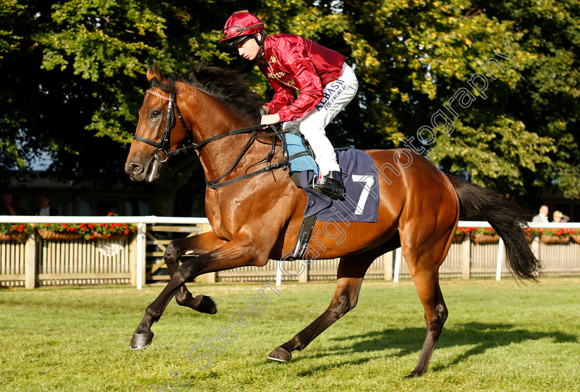 Kick-On-0002 
 KICK ON (Oisin Murphy)
Newmarket 10 Aug 2018 - Pic Steven Cargill / Racingfotos.com