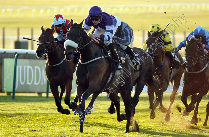 Muntadab-0002 
 MUNTADAB (Cameron Noble) wins The Newmarket Journal Handicap
Newmarket 29 Sep 2018 - Pic Steven Cargill / Racingfotos.com