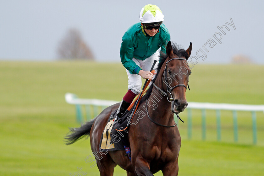 Vee-Sight 
 VEE SIGHT (Rob Hornby)
Newmarket 29 Oct 2021 - Pic Steven Cargill / Racingfotos.com