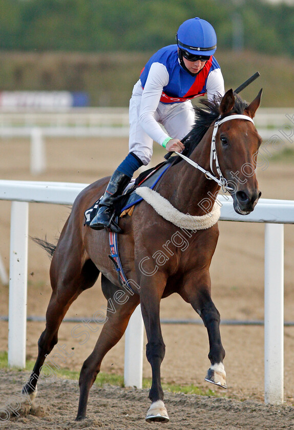 Melburnian-0008 
 MELBURNIAN (Levi Williams) wins The Racing Welfare Novice Median Auction Stakes
Chelmsford 22 Aug 2020 - Pic Steven Cargill / Racingfotos.com