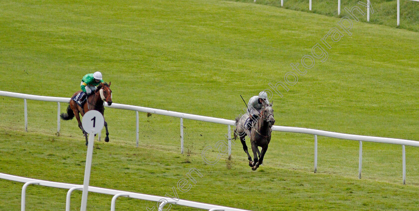 Camouflaged-0001 
 CAMOUFLAGED (David Probert) wins The Shadow Scaffolding Handicap
Chepstow 9 Jul 2020 - Pic Steven Cargill / Racingfotos.com