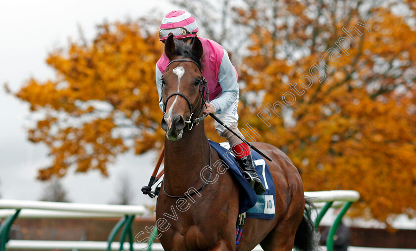 Olympic-Theatre-0002 
 OLYMPIC THEATRE (Andrea Atzeni)
Newmarket 21 Oct 2020 - Pic Steven Cargill / Racingfotos.com