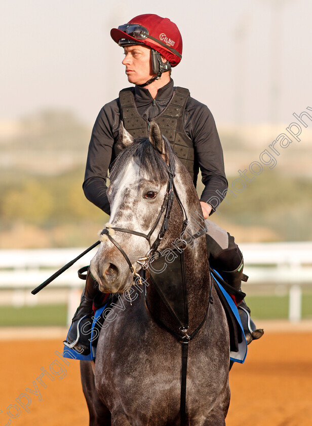 Speak-In-Colours-0002 
 SPEAK IN COLOURS preparing for The 1351 Cup
Riyadh Racetrack, Kingdom Of Saudi Arabia, 27 Feb 2020 - Pic Steven Cargill / Racingfotos.com