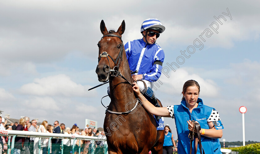 Stratum-0001 
 STRATUM (William Buick)
Doncaster 11 Sep 2022 - Pic Steven Cargill / Racingfotos.com