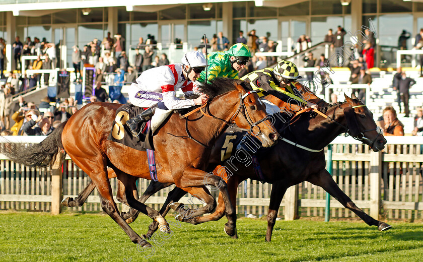 Malakahna-0002 
 MALAKAHNA (centre, Callum Hutchinson) beats NOVEL LEGEND (left) in The Hamish Kinmond 70th Birthday Handicap
Newmarket 28 Oct 2022 - Pic Steven Cargill / Racingfotos.com