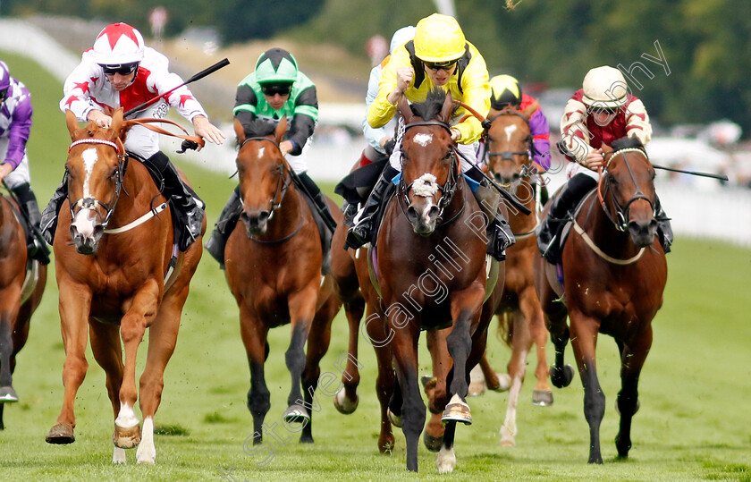 Marbaan-0004 
 MARBAAN (right, Jamie Spencer) beats HOLLOWAY BOY (left) in The Japan Racing Association Vintage Stakes
Goodwood 26 Jul 2022 - Pic Steven Cargill / Racingfotos.com