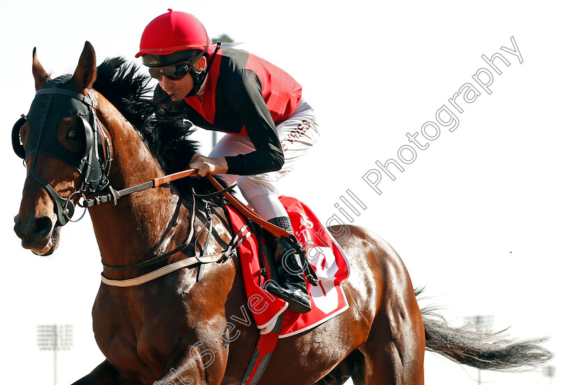 Al-Mukhtar-Star-0001 
 AL MUKHTAR STAR (Adrie de Vries))
Meydan 7 Mar 2020 - Pic Steven Cargill / Racingfotos.com