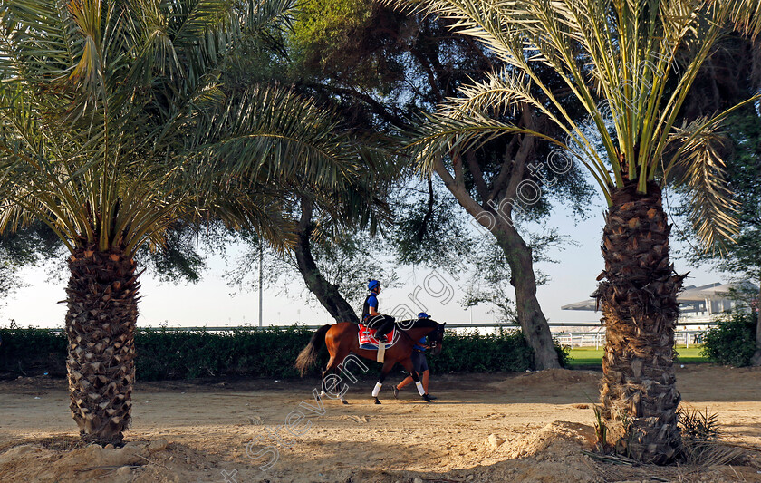 Nations-Pride-0001 
 NATIONS PRIDE training for the Bahrain International Trophy
Kingdom of Bahrain 13 Nov 2024 - Pic Steven Cargill / Racingfotos.com