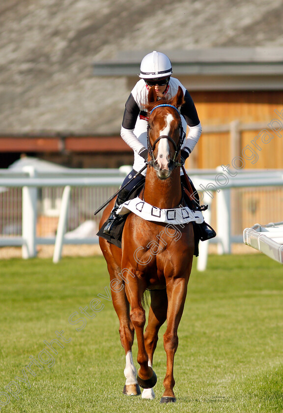 Marion s-Boy-0001 
 MARION'S BOY (Megan Jordan)
Newbury 22 Jul 2021 - Pic Steven Cargill / Racingfotos.com