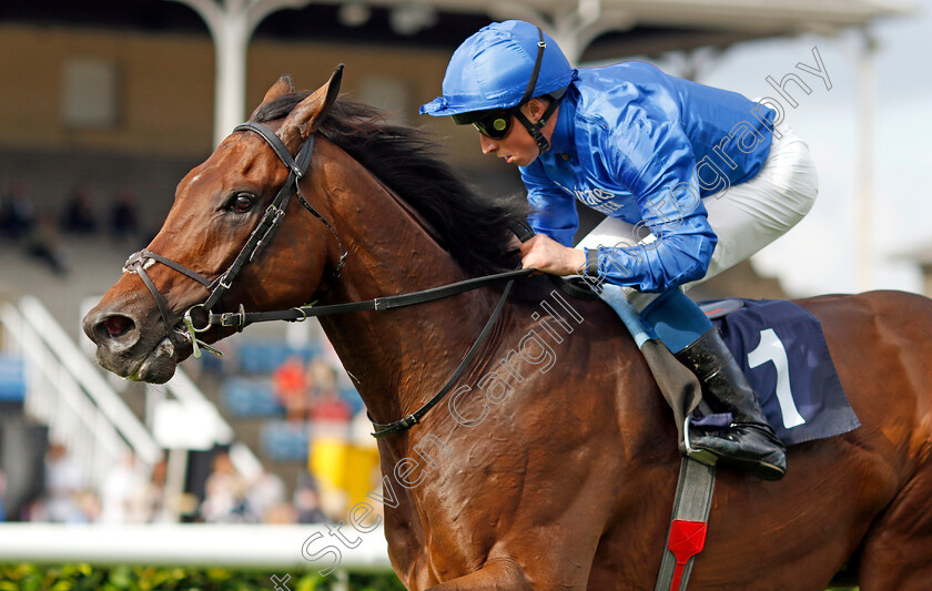 Adayar-0001 
 ADAYAR (William Buick) wins The Hilton Garden Inn Doncaster Conditions Stakes
Doncaster 8 Sep 2022 - Pic Steven Cargill / Racingfotos.com